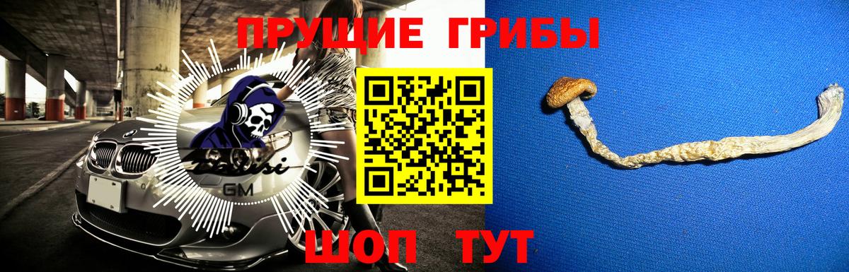 Псилоцибиновые грибы ЛСД Мытищи