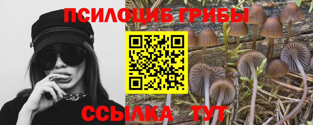 Псилоцибиновые грибы Magic Shrooms  купить наркотик  Мытищи  Вход с VPN 